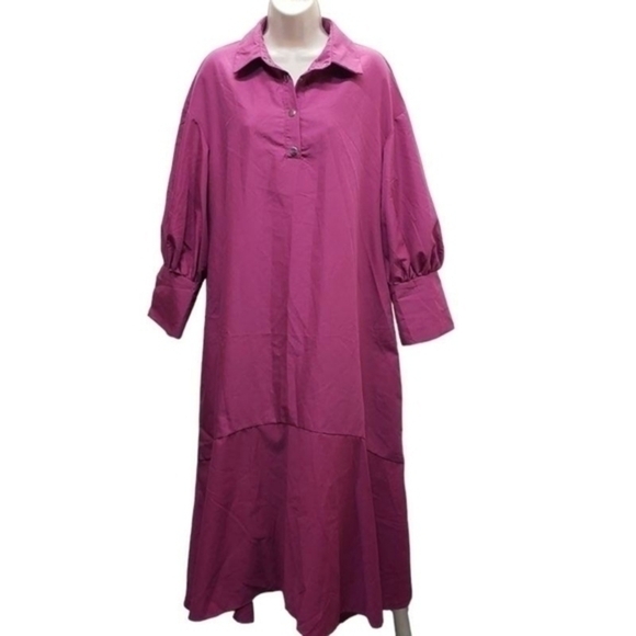 Shein Lantern Sleeve Asymmetrical Ruffle Hem Half Button Placket Dress - Picture 6 of 14